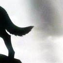 №2, Александр Хоин, Запорожье №2, Александр Хоин, Запорожье