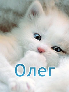 №23, Олег Кирилюк №23, Олег Кирилюк