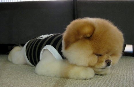 Сашенька Архипов | Нижний Новгород