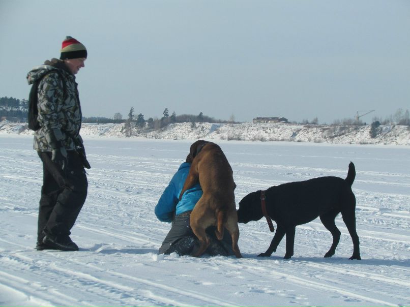Алексей Пепеляев | Краснокамск