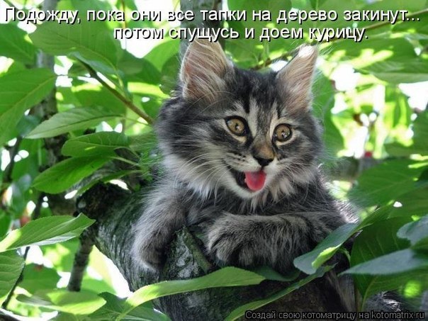 Юля Голландцева | Санкт-Петербург