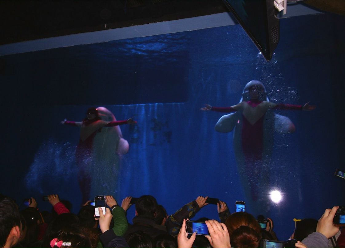 Сергей Пономарев ˙·٠✈ | Новосибирск