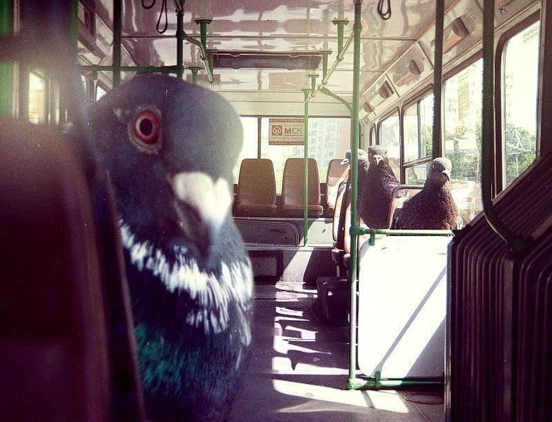 Эдуард Κрюков | 