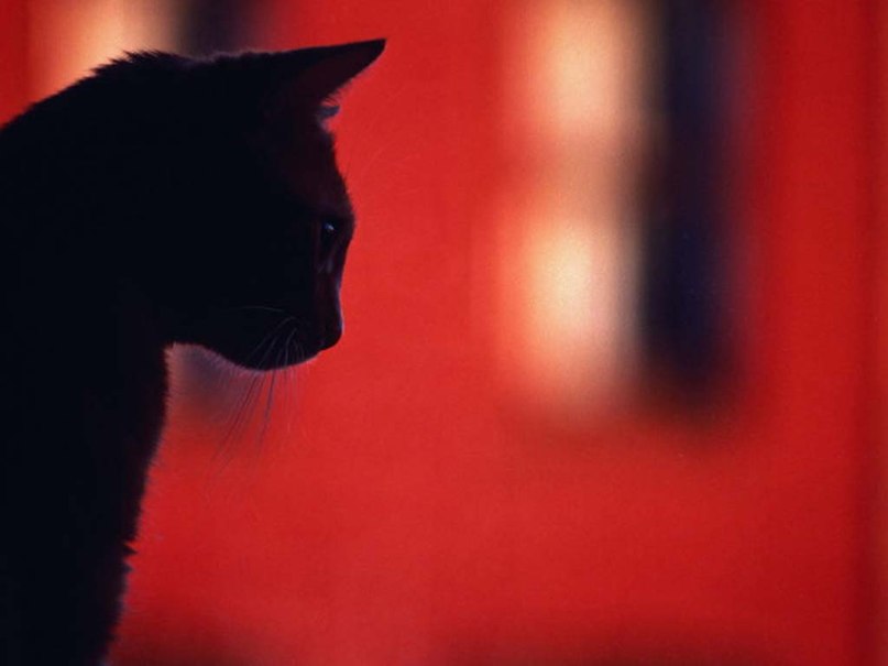 Татьяна Сухинина | Москва