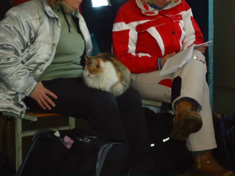 Timosha Yourich | Челябинск