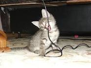 Кирилл Ермолович | Минск