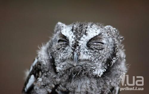 Анатолий Мартыновский folko | Молодечно