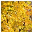 №89, Олег Водинов, Череповец №89, Олег Водинов, Череповец