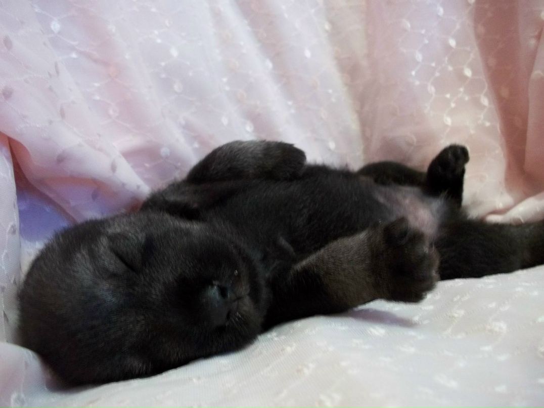 Андрей Макаров PaN | Казань