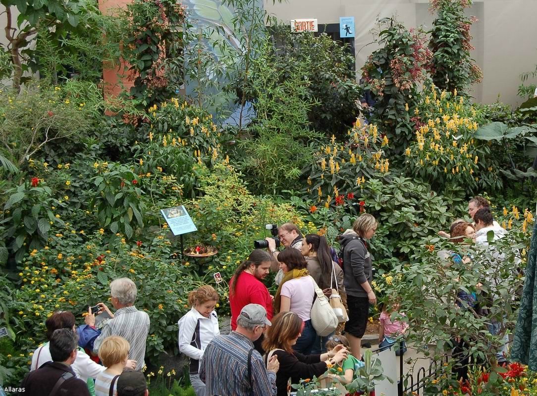 Людмила Солодунова | Санкт-Петербург