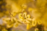 №10 Татьяна Ника 01.11: профиль, фото, статус - ВКонтакте