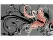 Аня Верещака | Одесса