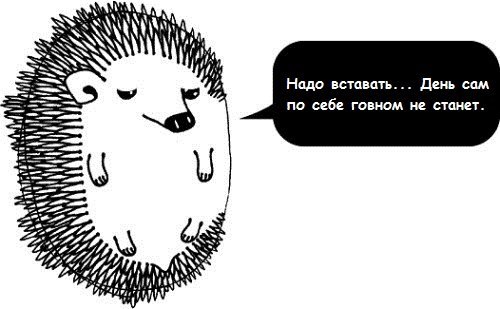 Полина Ботулина | Новомосковск