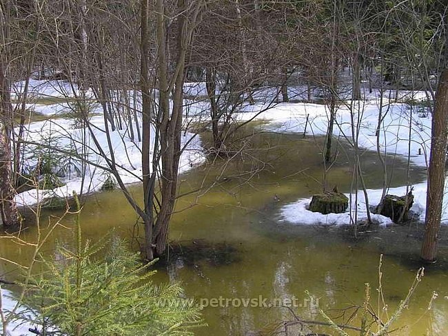 Анжела Надточий | Биробиджан