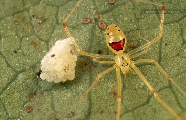 Ле Меньшикова Михайловна | Москва