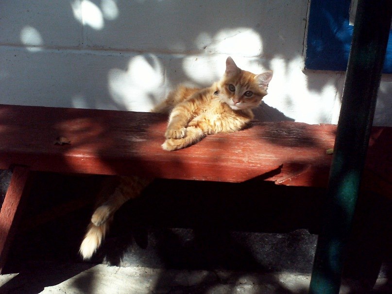 Игорь Пузанов | Москва