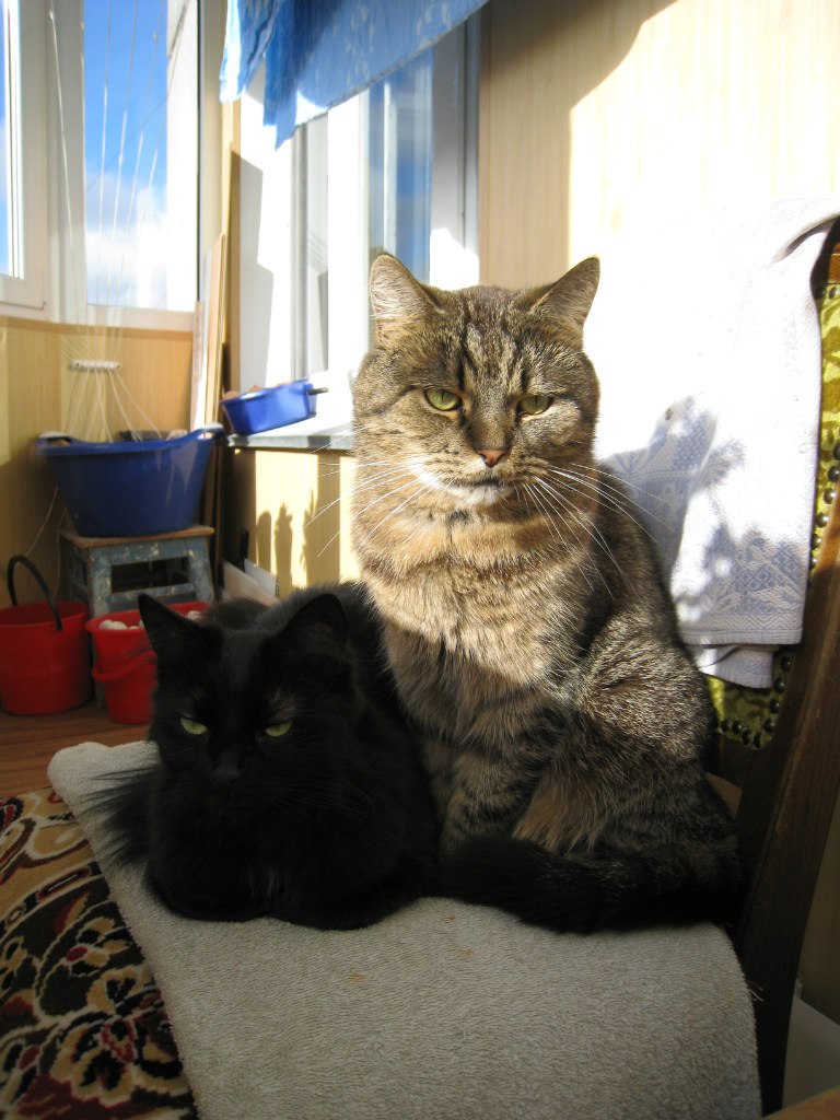 Алексей Вечерин | Калининград