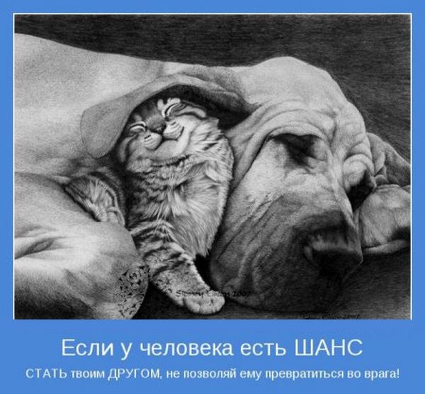 №64, Гриша Ковальчук, Гайсин №64, Гриша Ковальчук, Гайсин