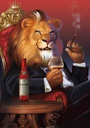 Дмитрий Андронов | Казань