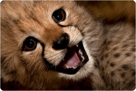 Настюша Попова | Москва