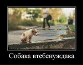 Фотография Андрей Исаков