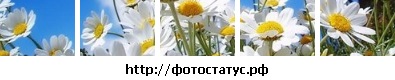 №33, Юлия Хижко, Каменское / Днепродзержинск №33, Юлия Хижко, Каменское / Днепродзержинск
