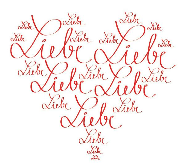 №14, Асия Иванова, 24.11 №14, Асия Иванова, 24.11