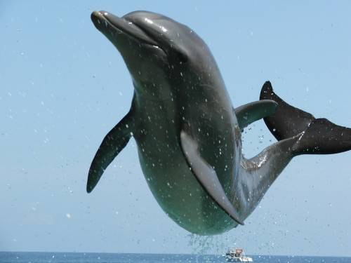 laara72 Степанова | 