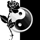 Дмитрий Чепурной | Новосибирск