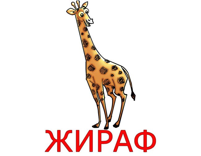 Артем Карпишев | Кимры