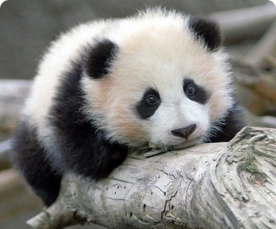 Камила Мухитдинова | Казань