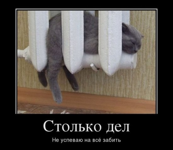 Алёна Глубокова | Копейск