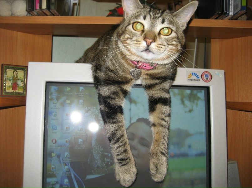 Дмитрий Андреевич | Мелитополь