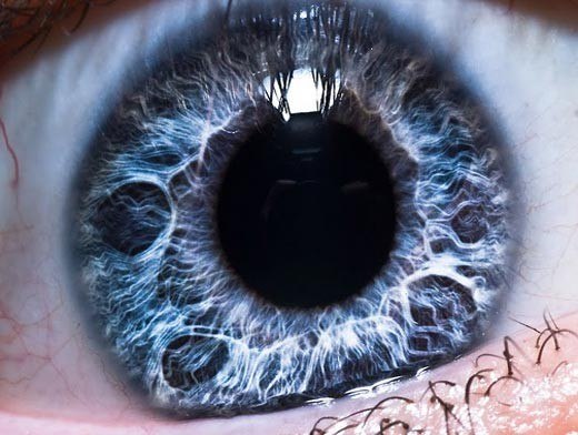 Николай Новак | Феодосия