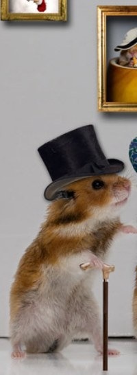 №35, Vlad Voronin, 35 лет, Киев №35, Vlad Voronin, 35 лет, Киев