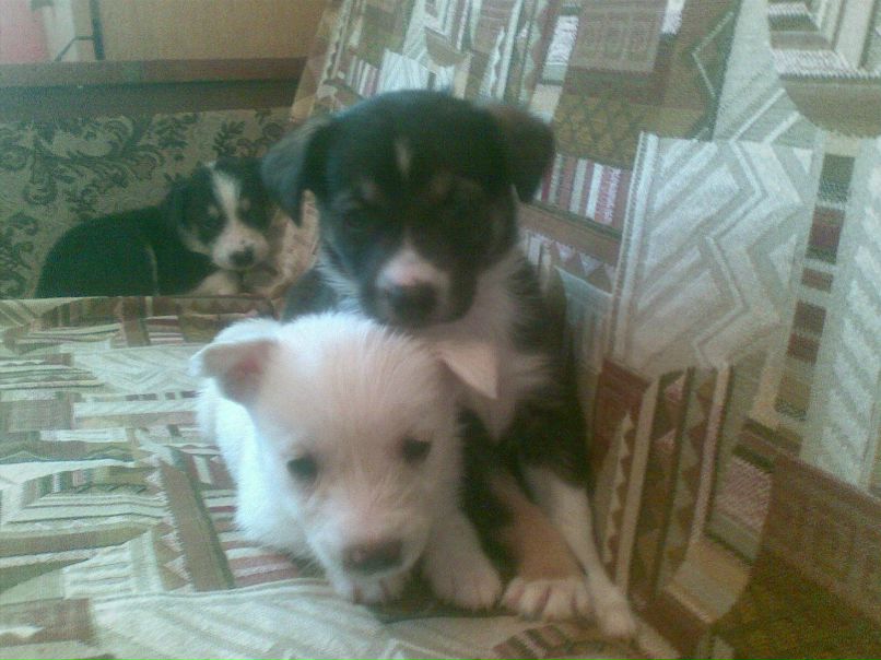 Василий Рожков | Кубинка