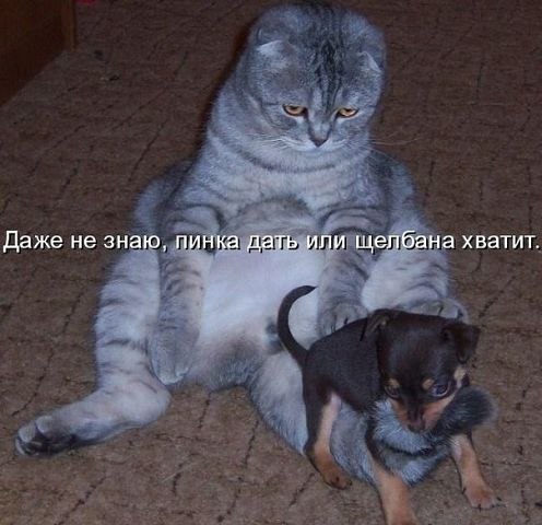 Оксана Фрейдензон | Nürnberg