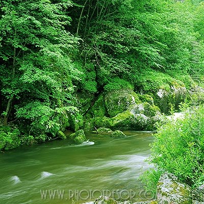 Вольга Аўласка | Минск