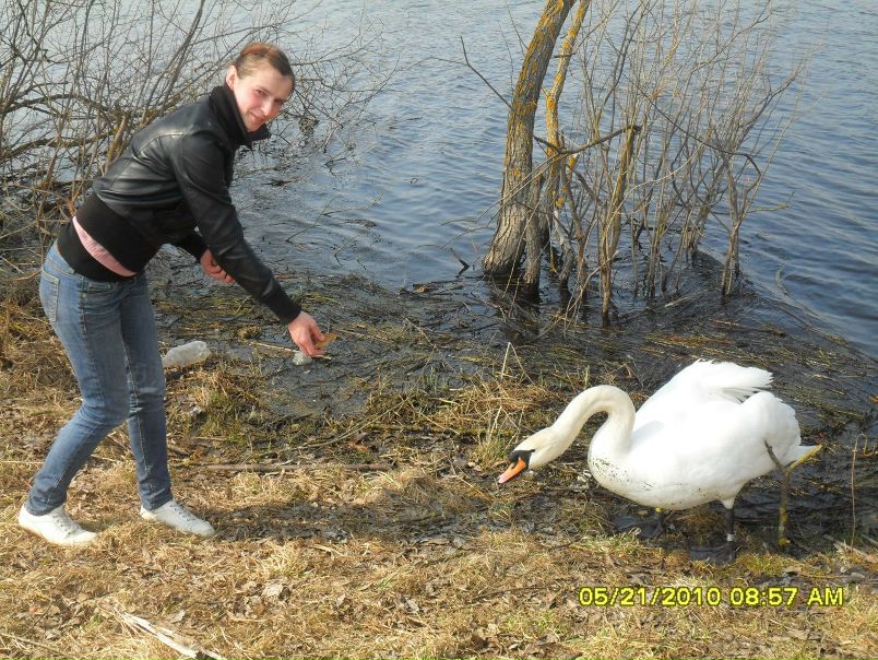 №12, Паша Сенашко №12, Паша Сенашко