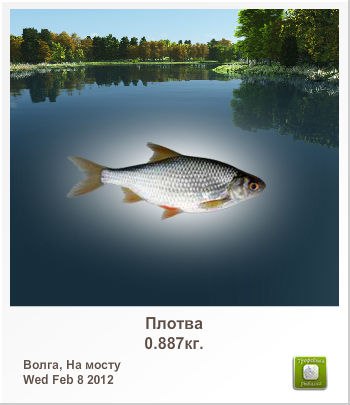Олег Бутковський | Тернополь