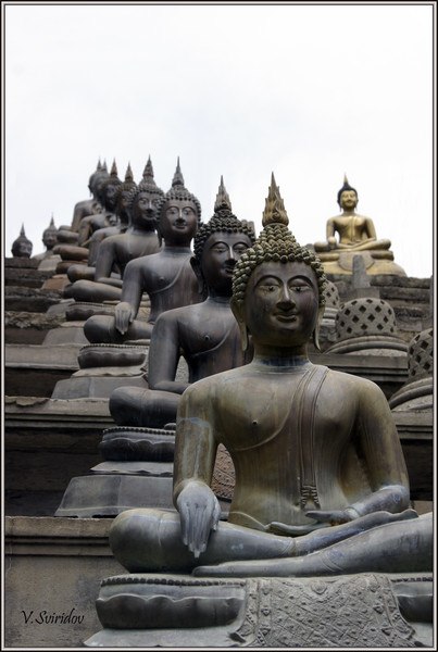 Данил Орыщенко | Санкт-Петербург