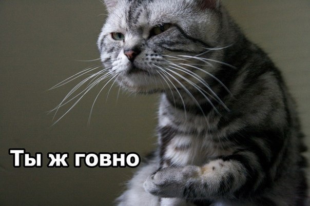 Андрей Slater | Минск