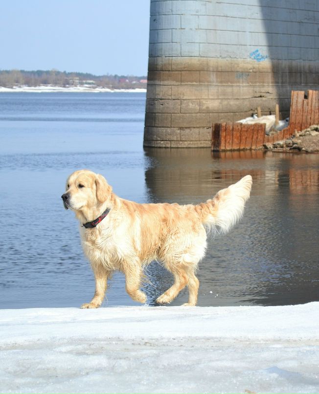 Светлана Ерусланова | Пермь