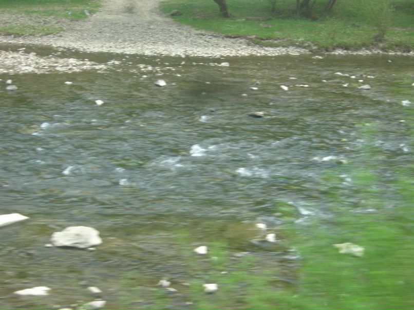 Жанна Дудниченко | Кривой Рог