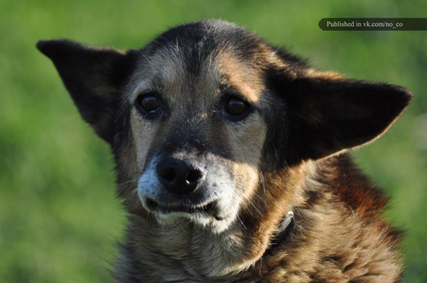 Ольга Степанова | Санкт-Петербург