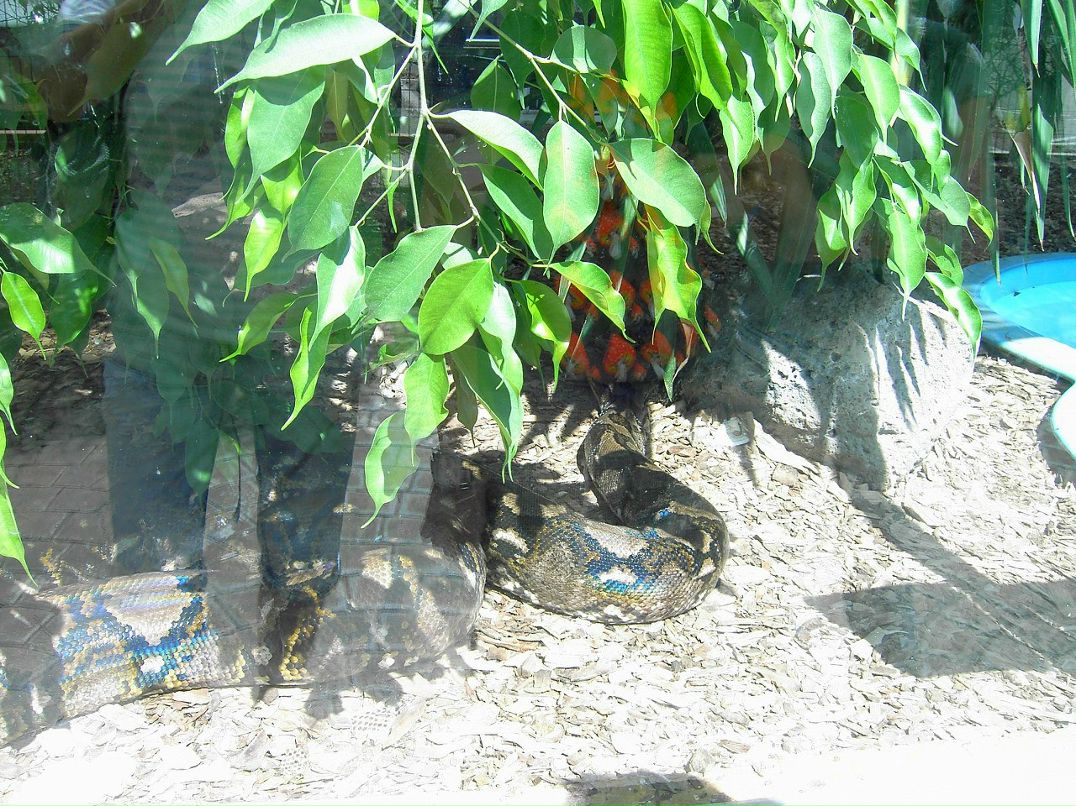 Макс Мельников | Иерусалим