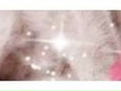 Галина Кобилецька-Якубович | Львов