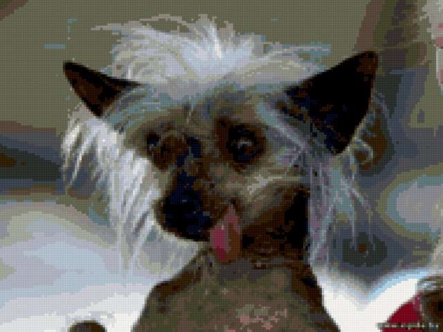 Счастье Есть | Санкт-Петербург