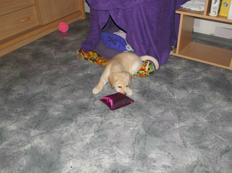 Алёна Чумакова | Харьков