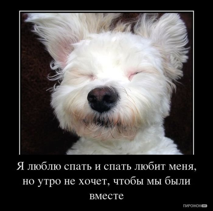 Юлия Мозгунова | Воронеж